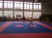 14.kolo Středoevropského poháru nadějí v karate v Havířově 09.03.2013_05