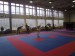 14.kolo Středoevropského poháru nadějí v karate v Havířově 09.03.2013_07